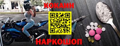 СК Бердск