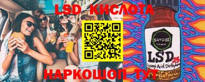 СК Бердск