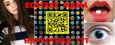 СК Бердск