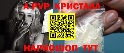 СК Бердск