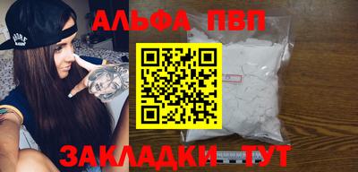 СК Бердск
