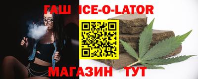 СК Бердск