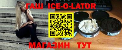 СК Бердск